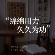 出3100家元27