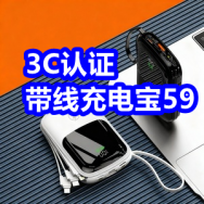 3.10 3C认证带线充电宝59！车空调清洗剂5！凉鞋19！红蜻蜓皮鞋199！风筝6！