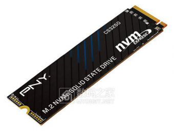 PNY闪电SSD杀到！14.9GB/s的PCIe 5.0硬盘只要125刀？​