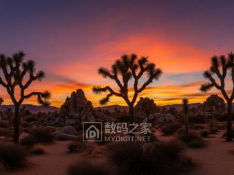 谷歌新AI作图工具有多强？Imagen 4精准出图，每张收你4美分​