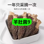 9月15日优惠券商品合集-羊肚菌9！领支付宝线下红包！