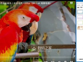 破电脑能丝滑跑安卓APP的变通方式
