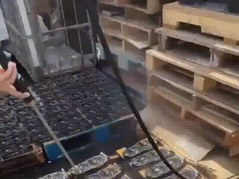 女孩自用99新！“暴力水洗显卡”引热议