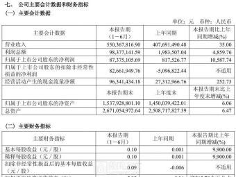 “电子布”厂商宏和科技：上半年净利润同比增长 10587.74%