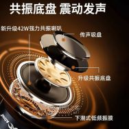 闲置的艾丁共振音箱/骨传导音响 比较好玩的听歌方式