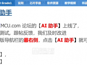 STC【AI 助手】分享
