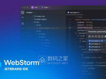 WebStorm 2025.2新特性前瞻：Bun支持即装即用 性能全面提速