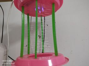 灭蚊灯电网生锈了，这样处理可行吗 ？