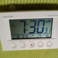 丽声RHYTHM电波钟