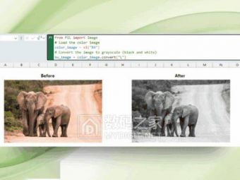 从“表哥”到“图匠”：微软 Excel 可用 Python 脚本批量修图