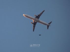周末的人.鱼.猫.花.飞机.月亮