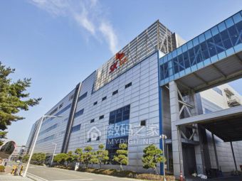 SK On固态电池大突破！锂金属阳极寿命飙升300次循环