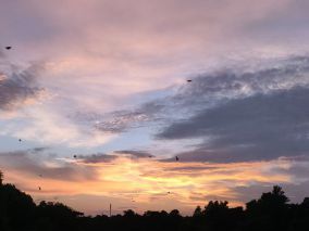 夕阳红（朝阳有少年意气 晚霞有岁月从容）