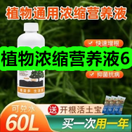 植物浓缩营养液6！白芝麻黑芝麻250gx2罐10！缝隙台面清扫除尘刷子1！