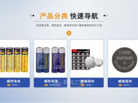 （图）这电池是哪门子进口货？