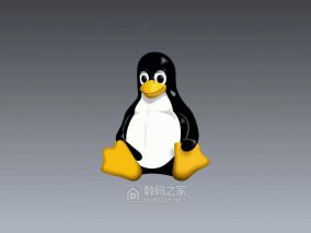 林纳斯·托瓦兹亲自敲定的Linux吉祥物“Tux企鹅”，迎30岁生日