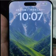 试出 苹果14promax 256G 港版