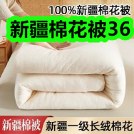 10.13-新疆手工棉花被36！袁记大肉馅云吞水饺5盒59！植护内衣内裤清洗液7！