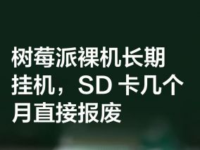 树莓派裸机长期挂机，SD 卡几个月直接报