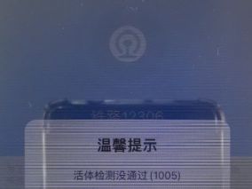 二手苹果手机iphoneX无法登录12306 提示提示活体检测没通过