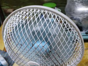 单向罩极异步电机异响卡死含油轴承升级方案1.0版本