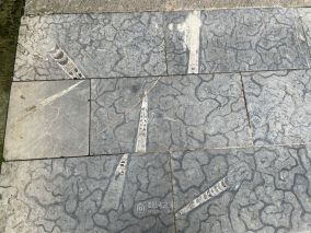原来重庆华岩寺里地砖上竟然有几亿年前的化石