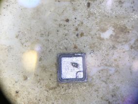 首次尝试深度拆解：显微镜下的可控硅TYN610