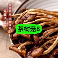 10月27日优惠券商品合集-茶树菇8！领支付宝线下红包！