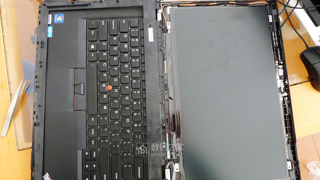 conew_p1180720.jpg