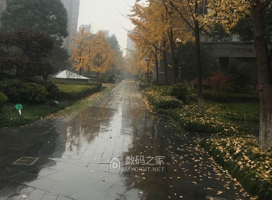 雨中拍摄，冷暖自知 (3).jpg
