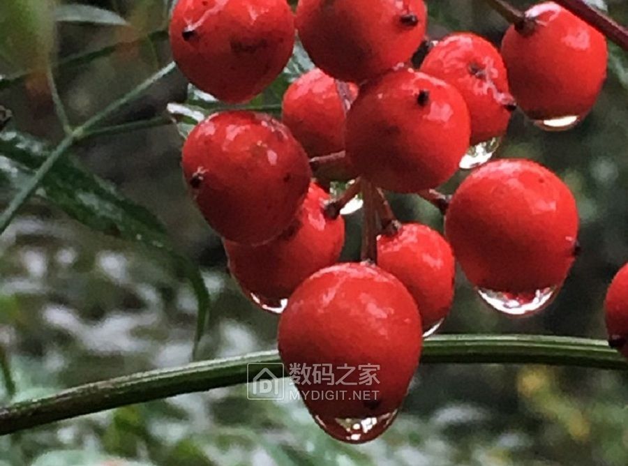 雨中拍摄，冷暖自知 (7).jpg