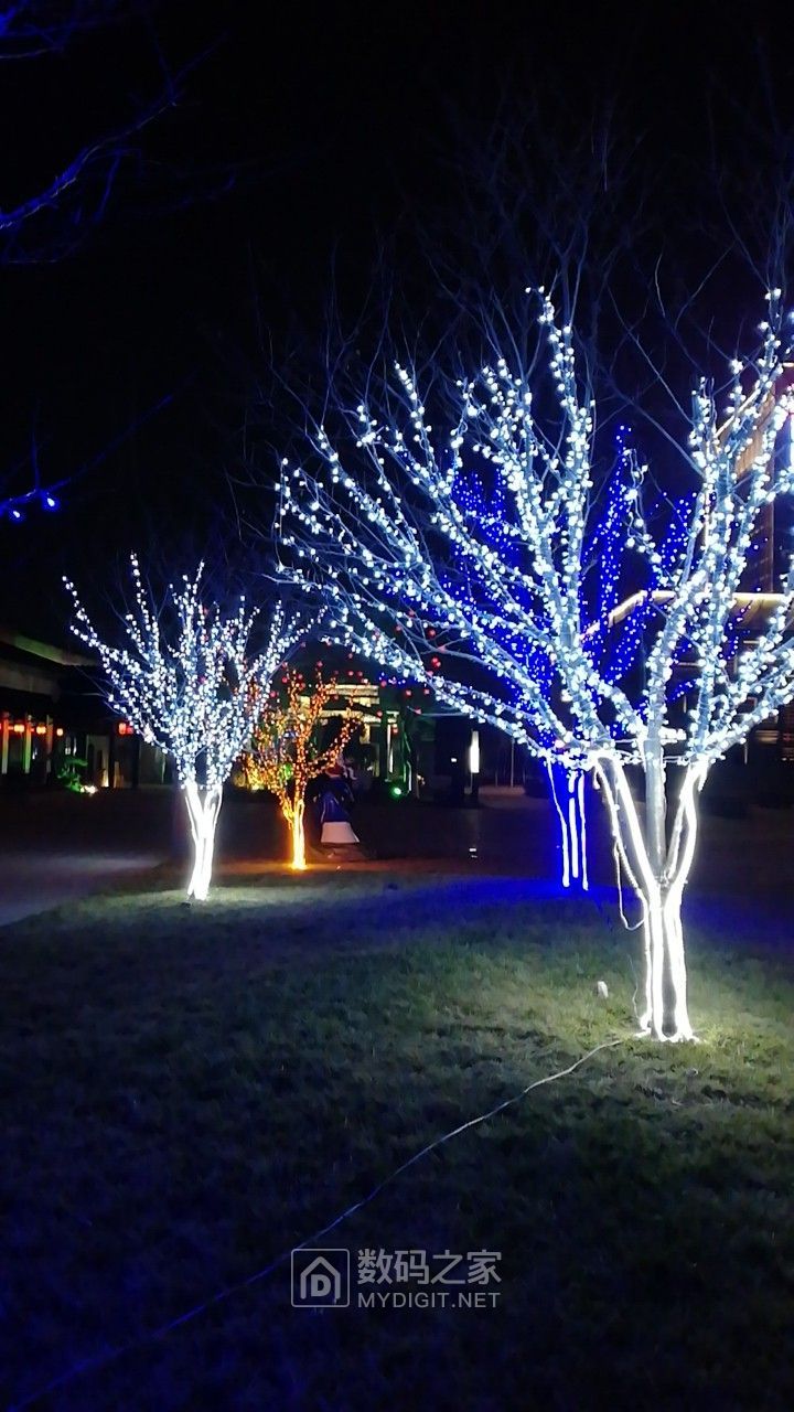 树上挂led彩灯