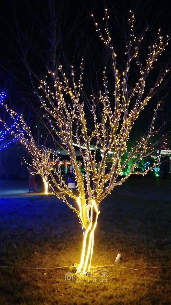 树上挂led彩灯