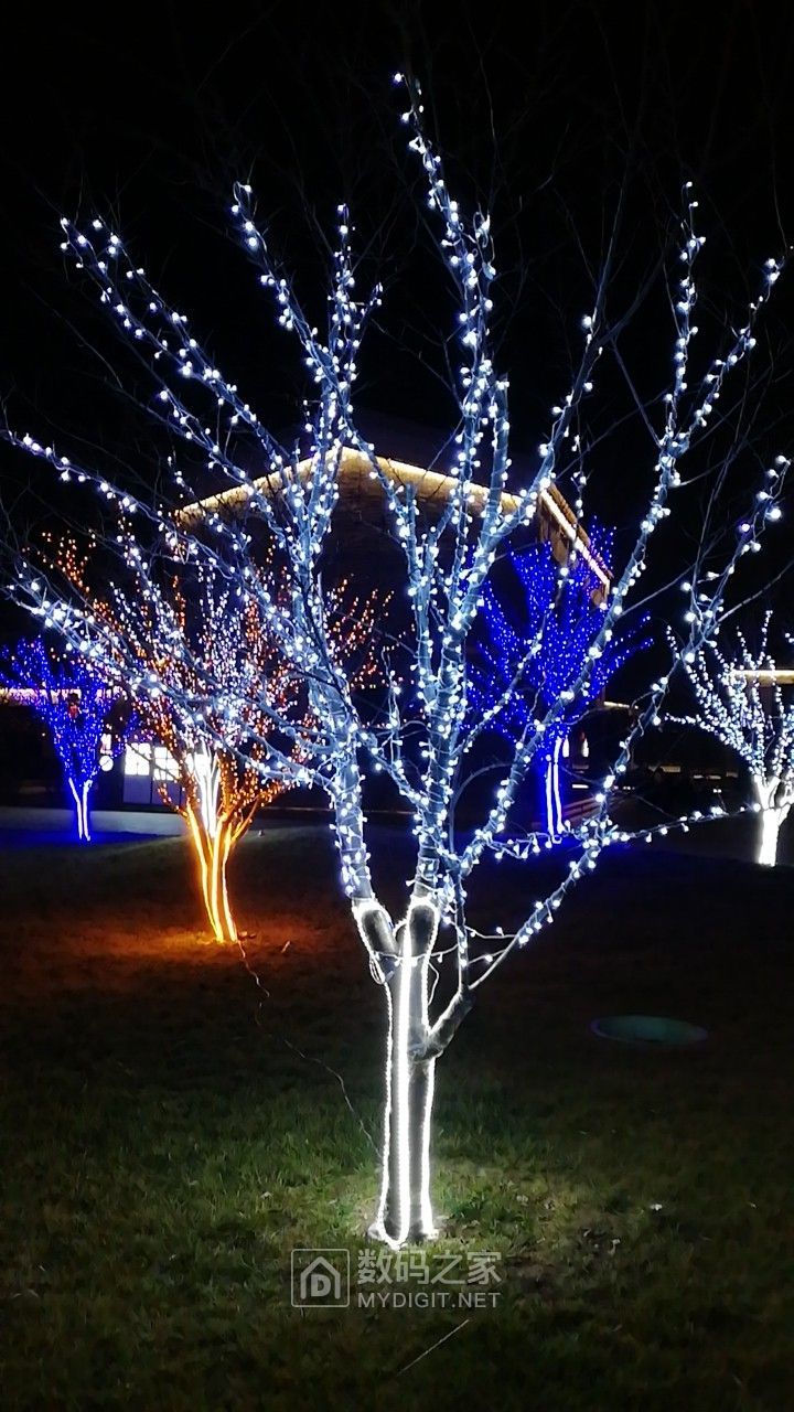 灯带缠在树上的效果图图片