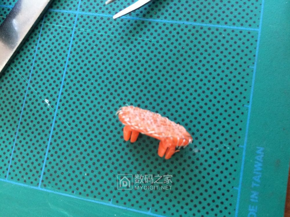 IMG_0177_调整大小.jpg