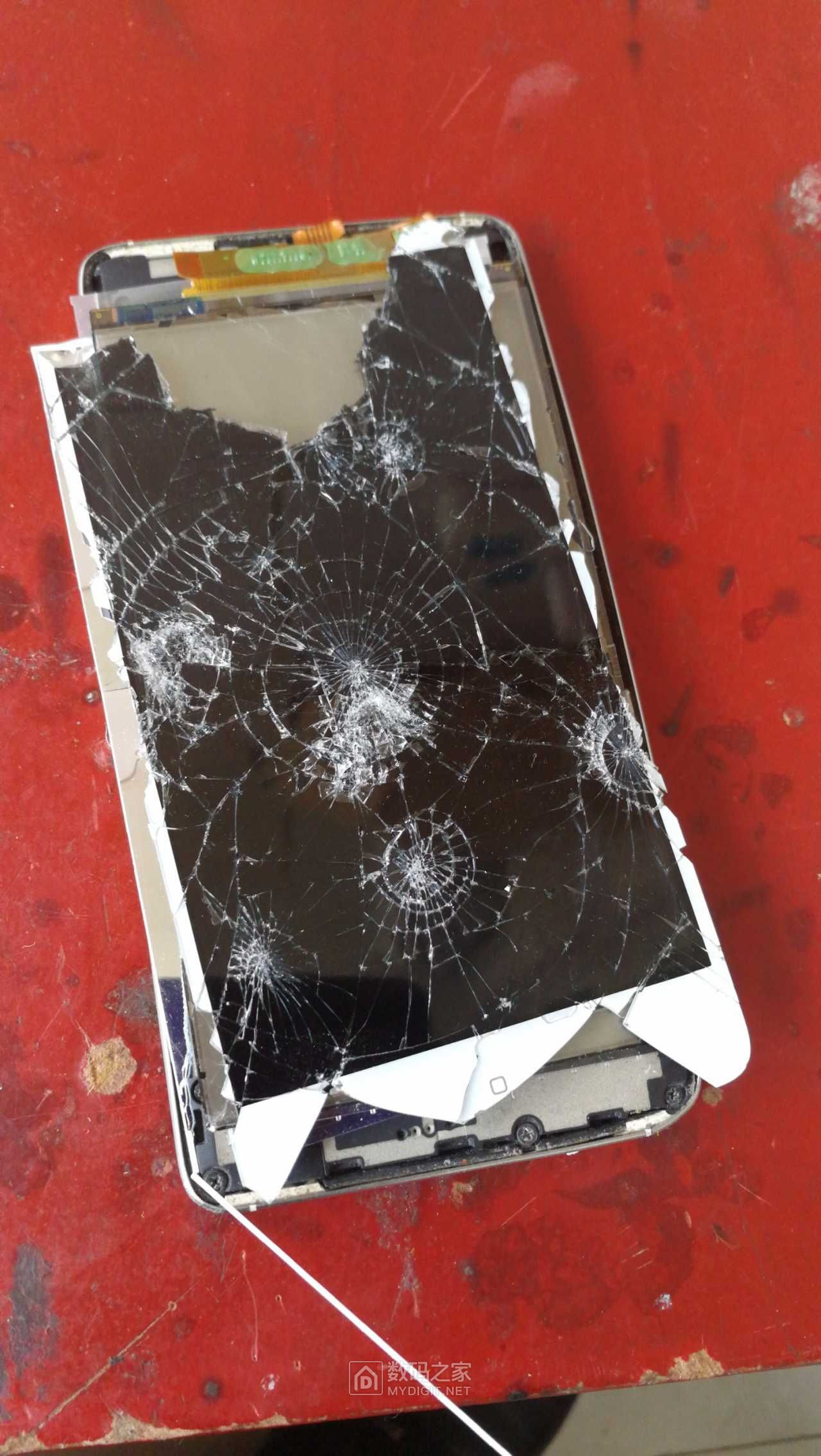 15521994366340.3375699872429575.jpg