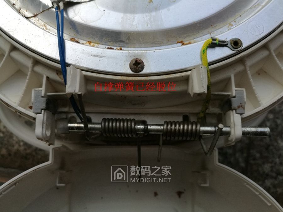 IMG_20190330_072409.jpg