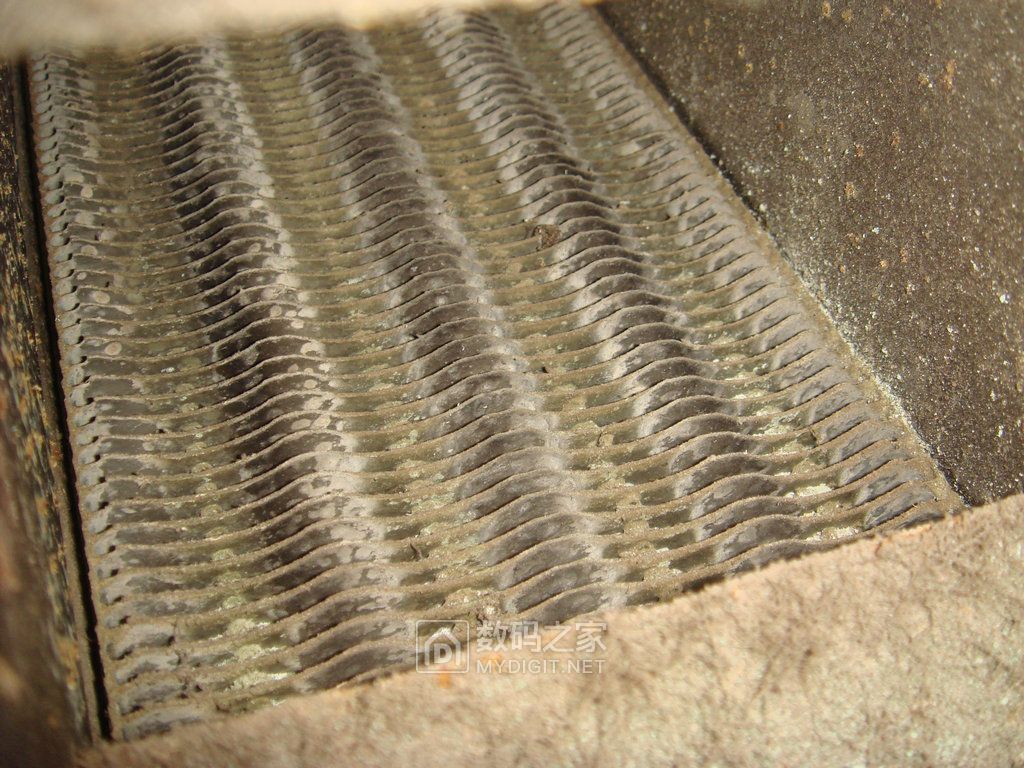 DSC09441.JPG