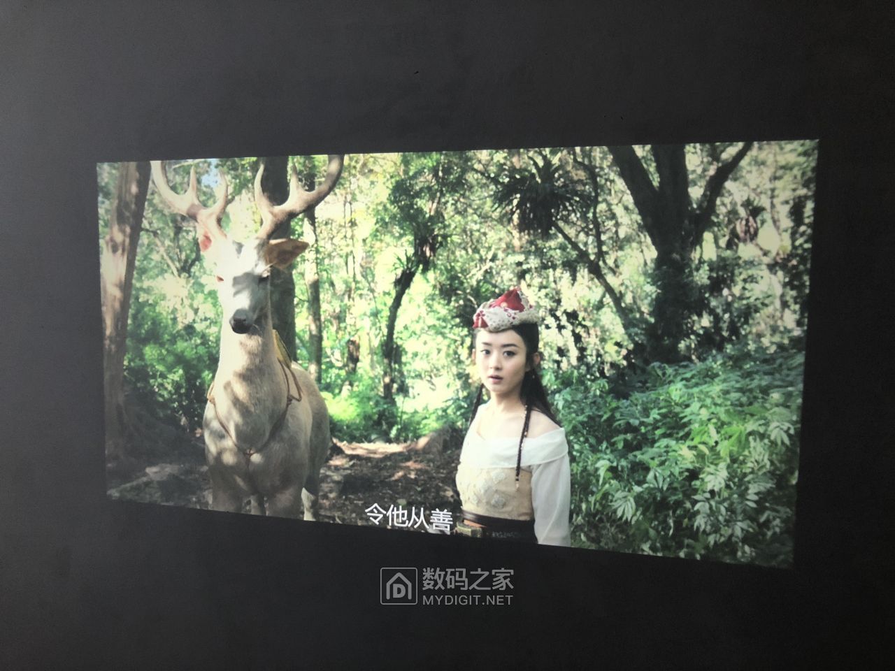 微信图片_201904191219231.jpg