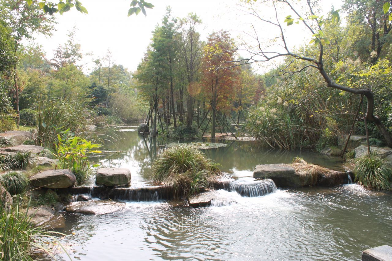 长桥溪水生态修复公园图片