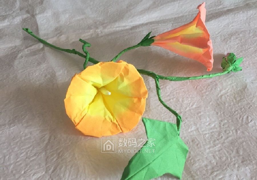 牵牛花折纸作品 (8).jpg