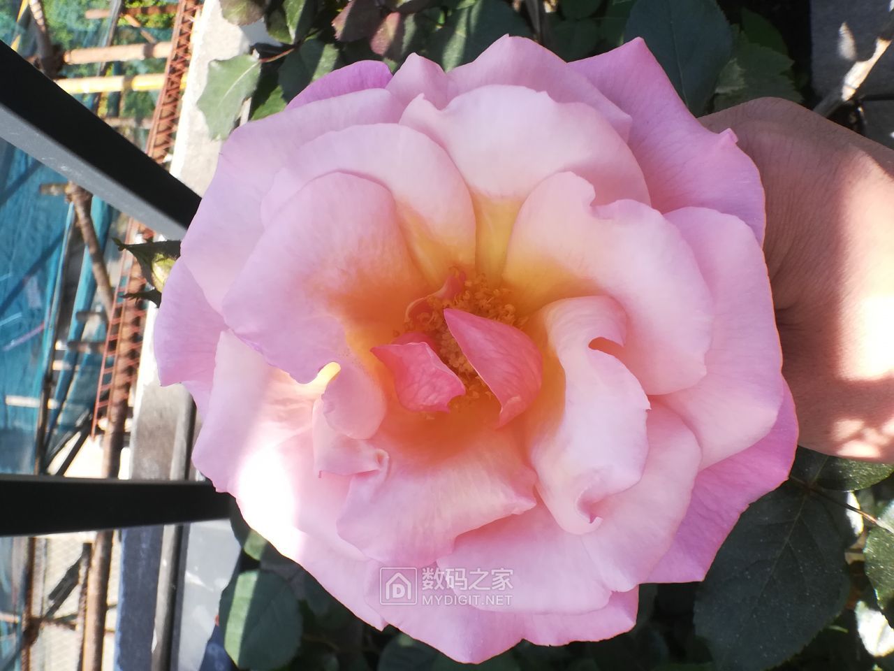 IMG_20190503_082816.jpg