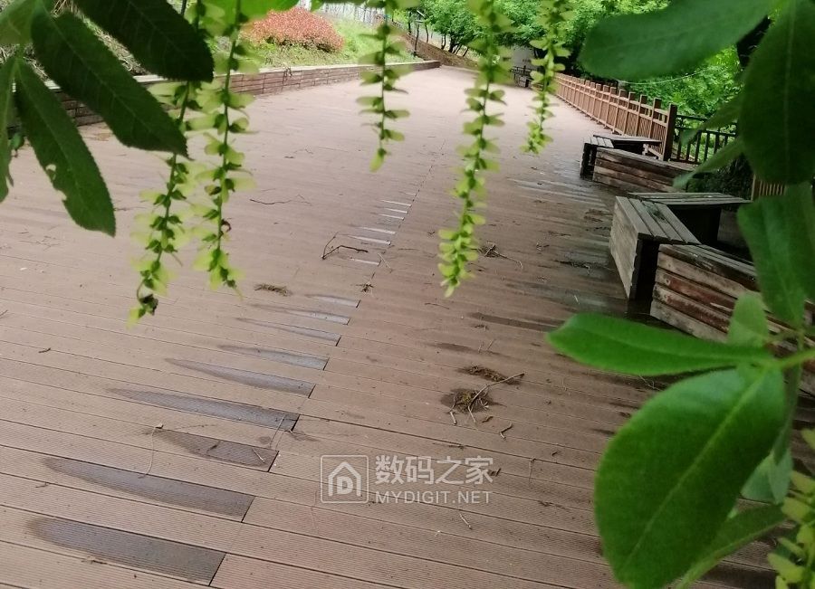 美丽乡村行 (4).jpg