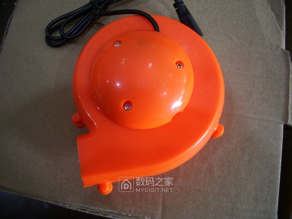 IMGP6622.JPG