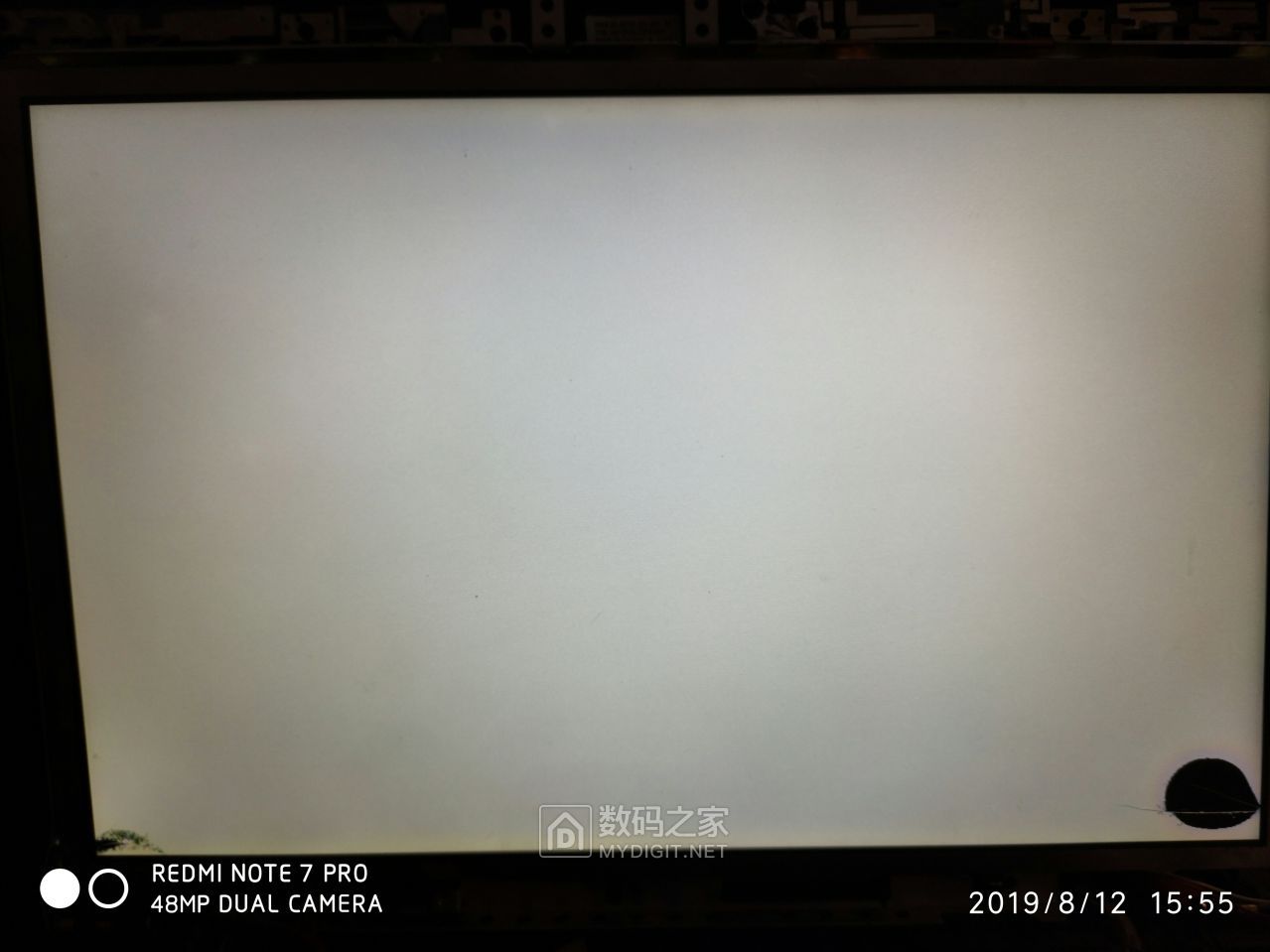 1565679971437_adobe.jpg