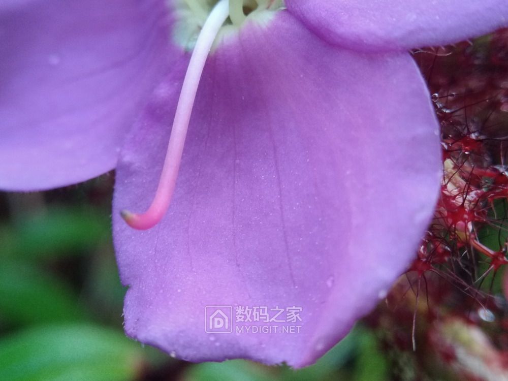 P90801-075616.jpg