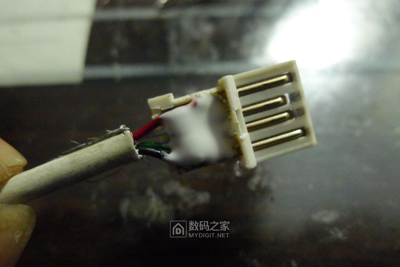 P1210131.JPG