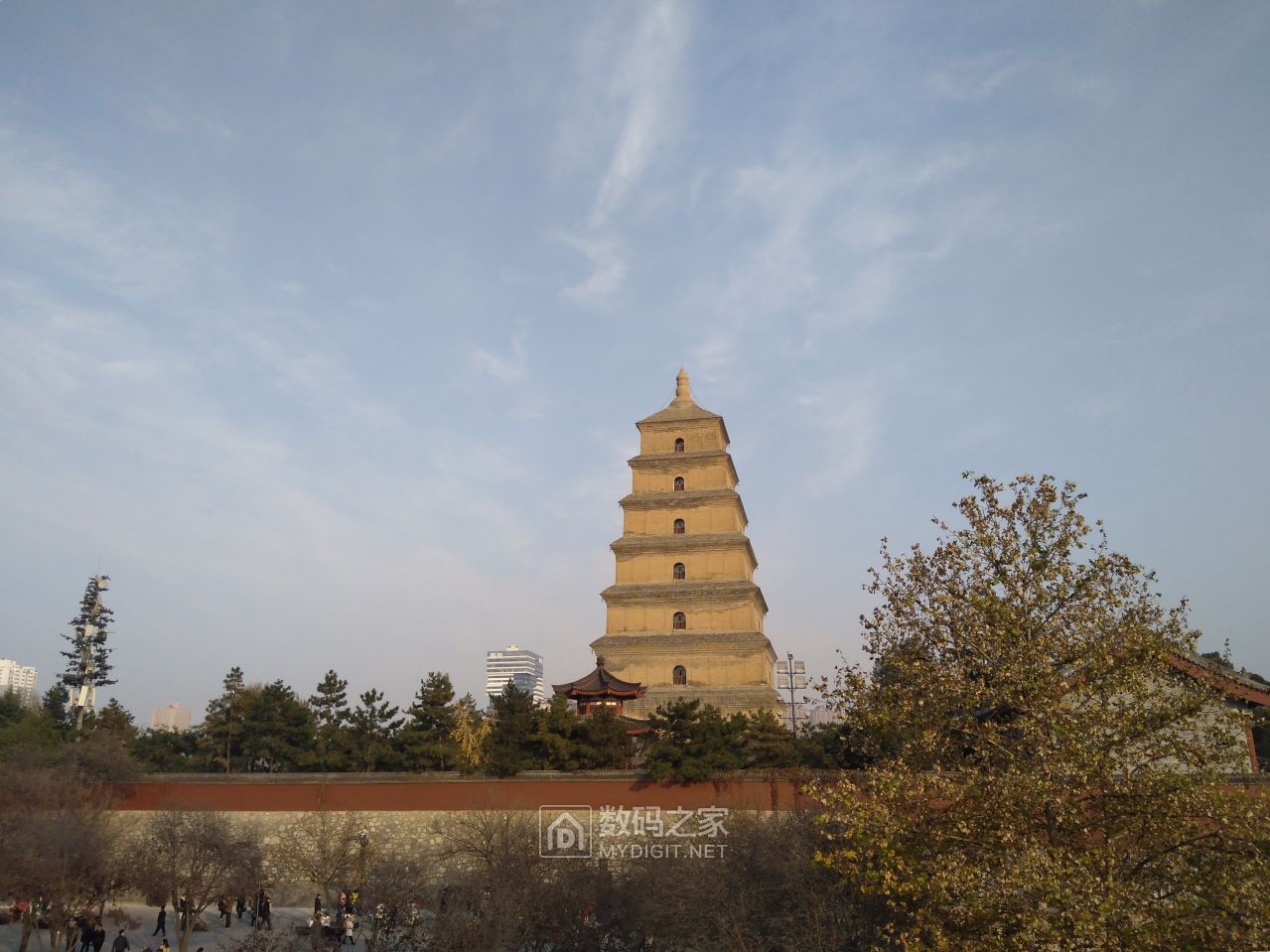 IMG_20191205_155500.jpg