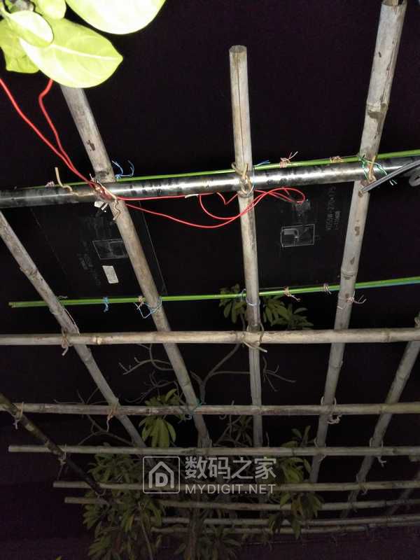 nEO_IMG_IMG20200327194507.jpg