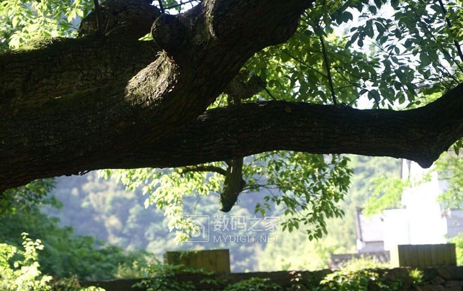 假日大山里悠悠 (3).jpg